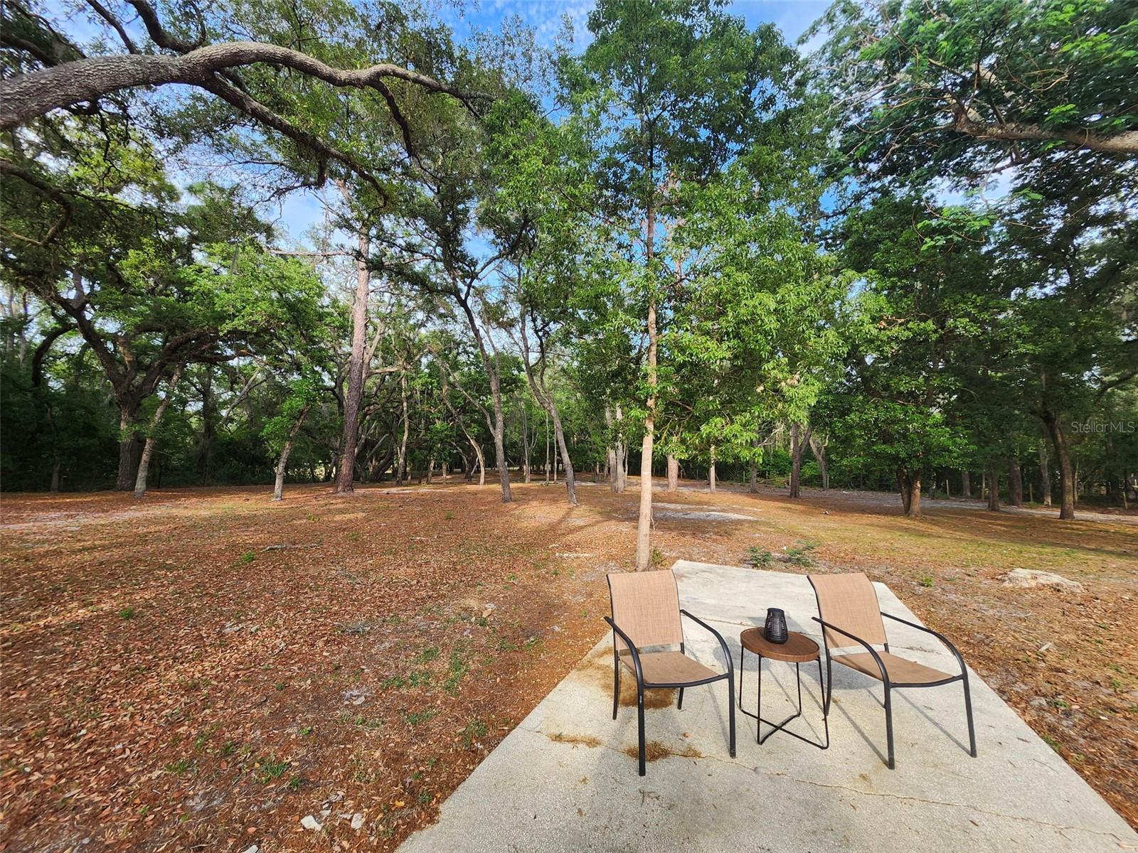 15614 RENEE LN, HUDSON, FL, 34669