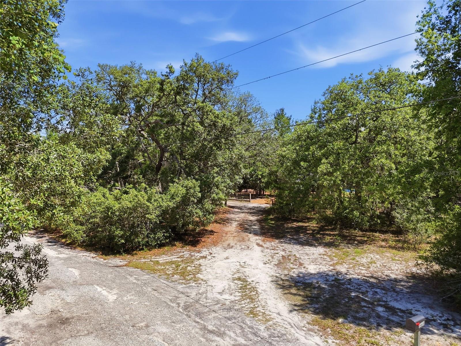 15614 RENEE LN, HUDSON, FL, 34669
