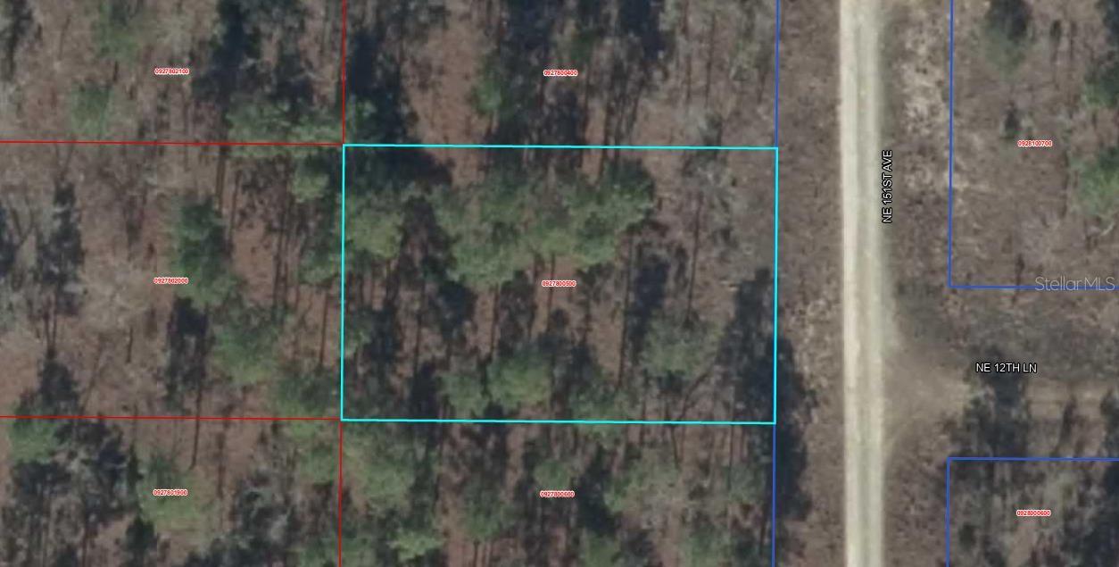 00 NE 151ST AVE, WILLISTON, FL, 32696