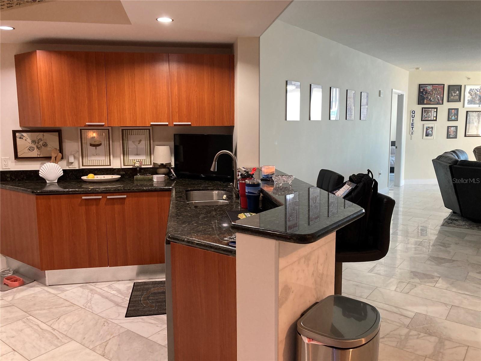 231 RIVERSIDE DR #1504-1, DAYTONA BEACH, FL, 32117