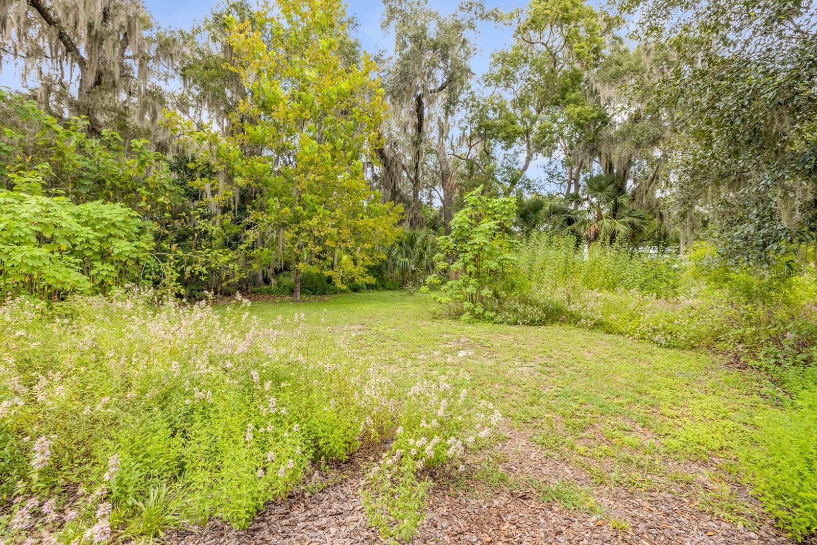 417 W MINNESOTA AVE, DELAND, FL, 32720