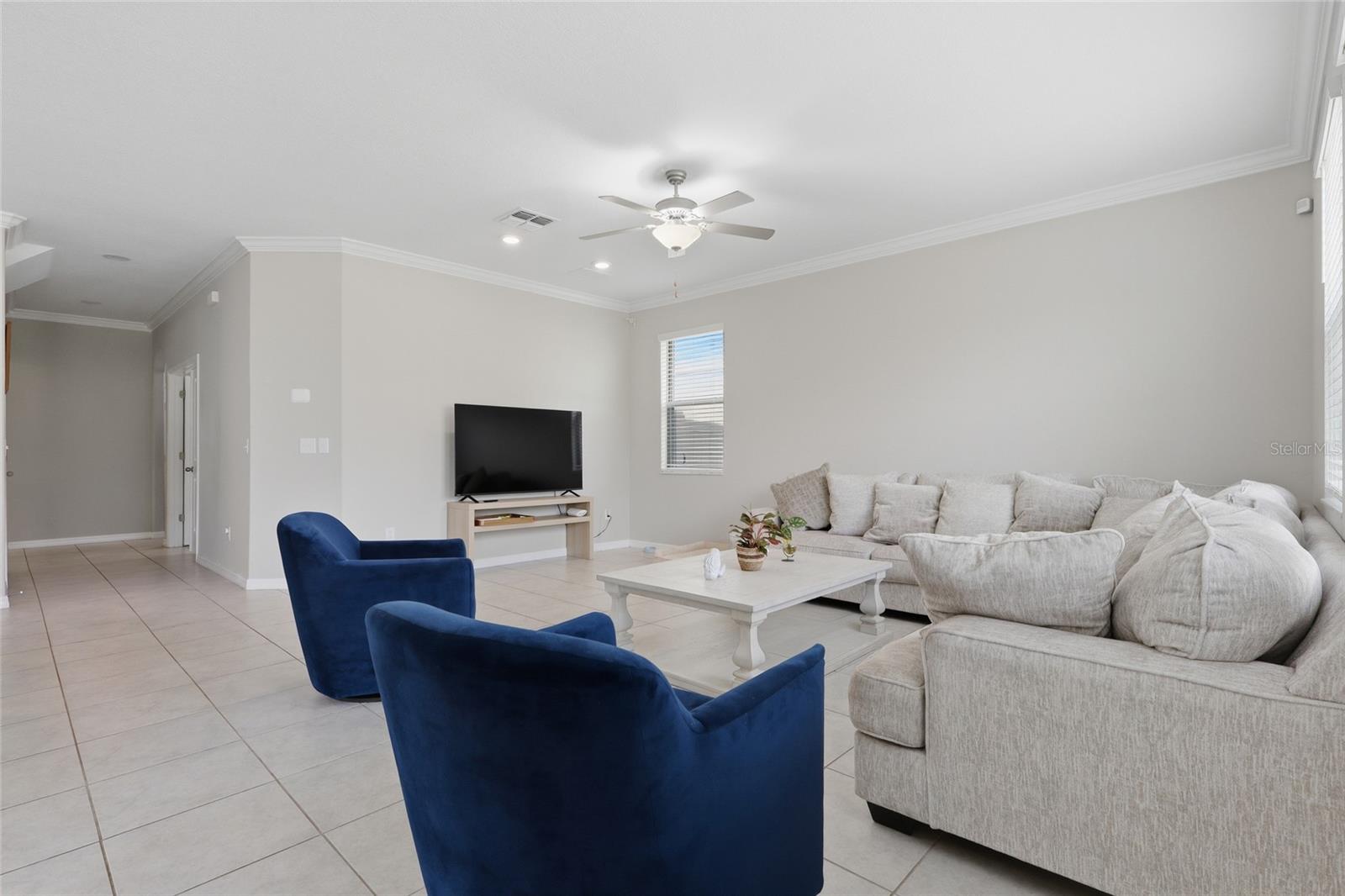 8882 FLOURISH DR, LAND O LAKES, FL, 34637