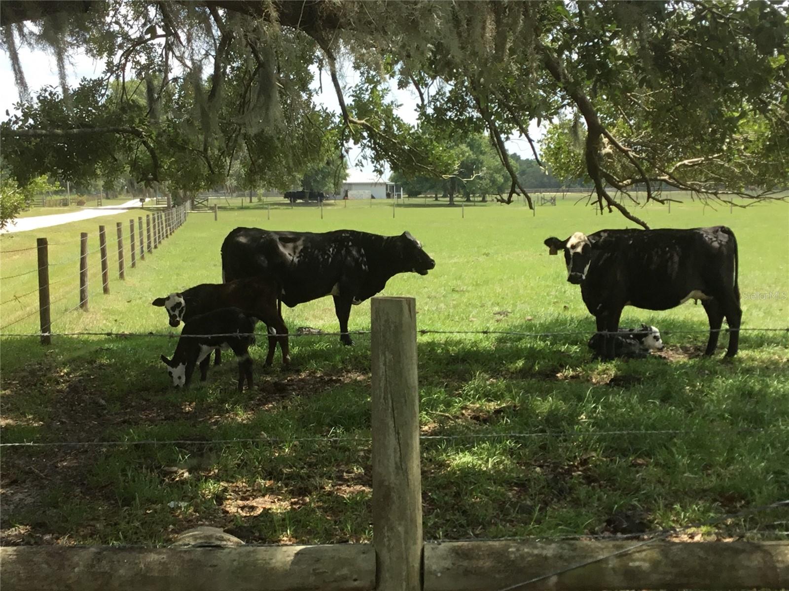 4090 CARLTON RD, SARASOTA, FL, 34240