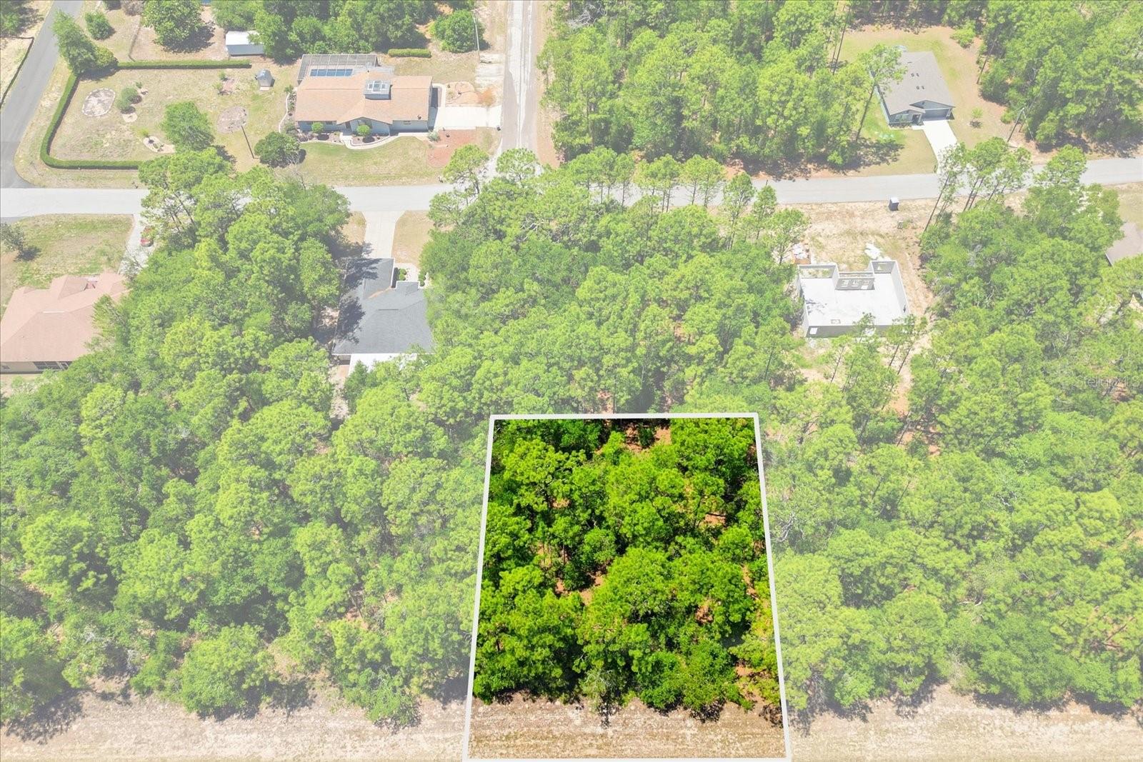 10858 N ELKCAM BLVD, CITRUS SPRINGS, FL, 34433