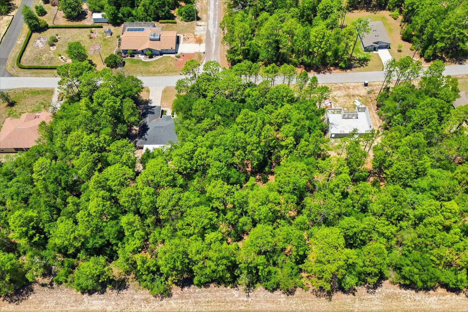 10858 N ELKCAM BLVD, CITRUS SPRINGS, FL, 34433