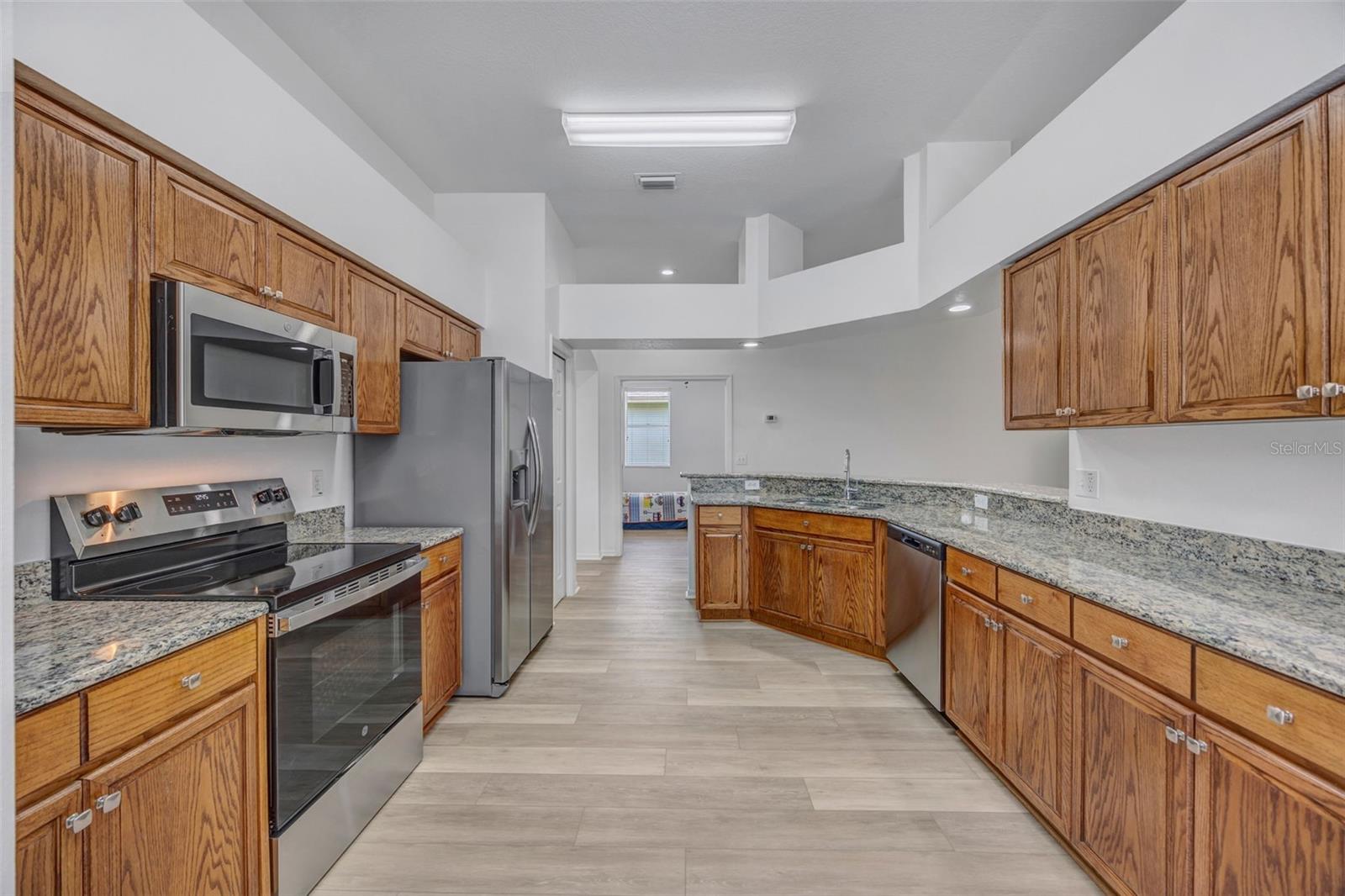 19507 ARDWICK WAY, LAND O LAKES, FL, 34638