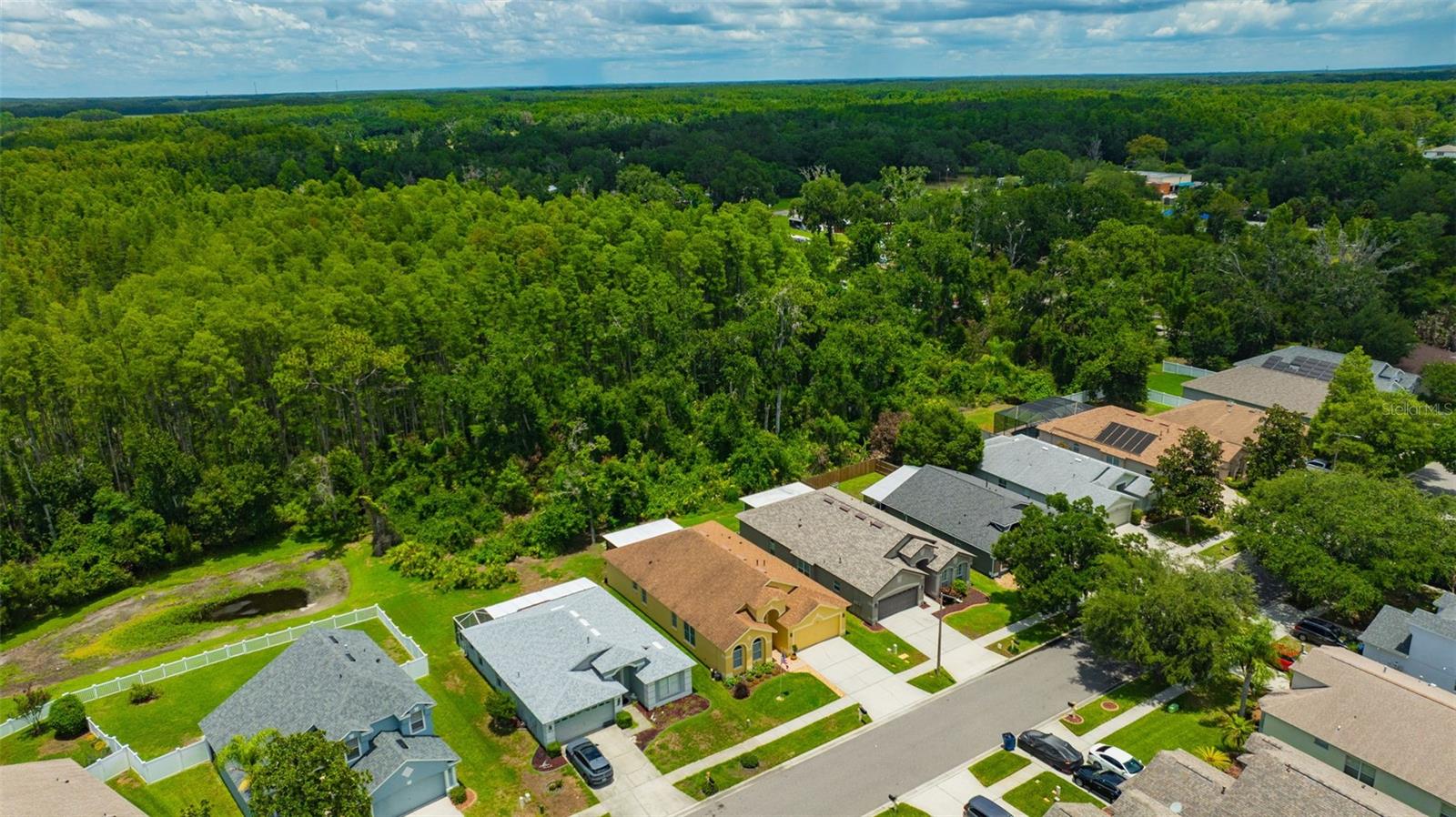 19507 ARDWICK WAY, LAND O LAKES, FL, 34638