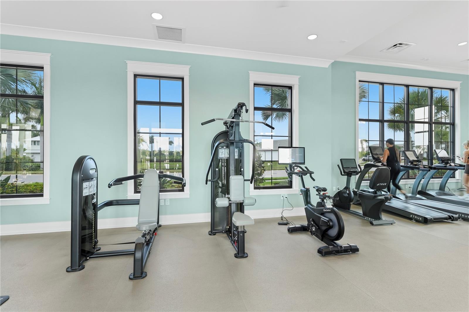 17143 SAVORY MIST CIR, LAKEWOOD RANCH, FL, 34211