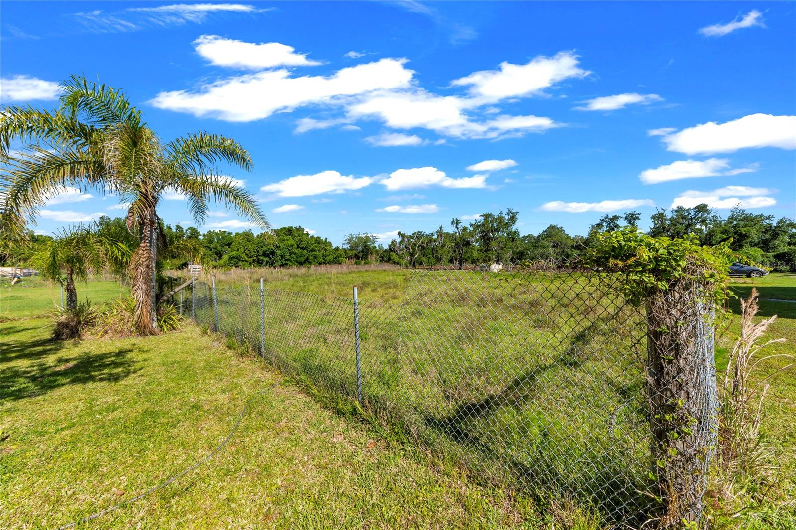 13610 ACKER RD, DOVER, FL, 33527