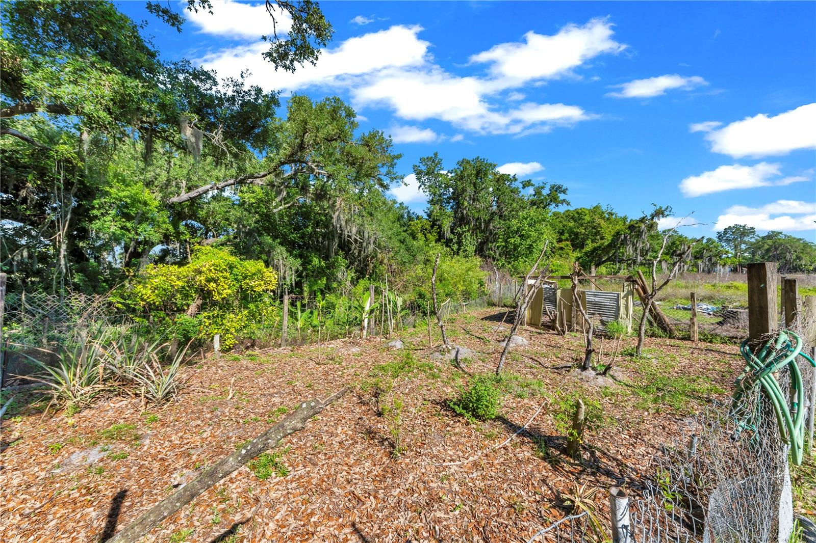 13610 ACKER RD, DOVER, FL, 33527