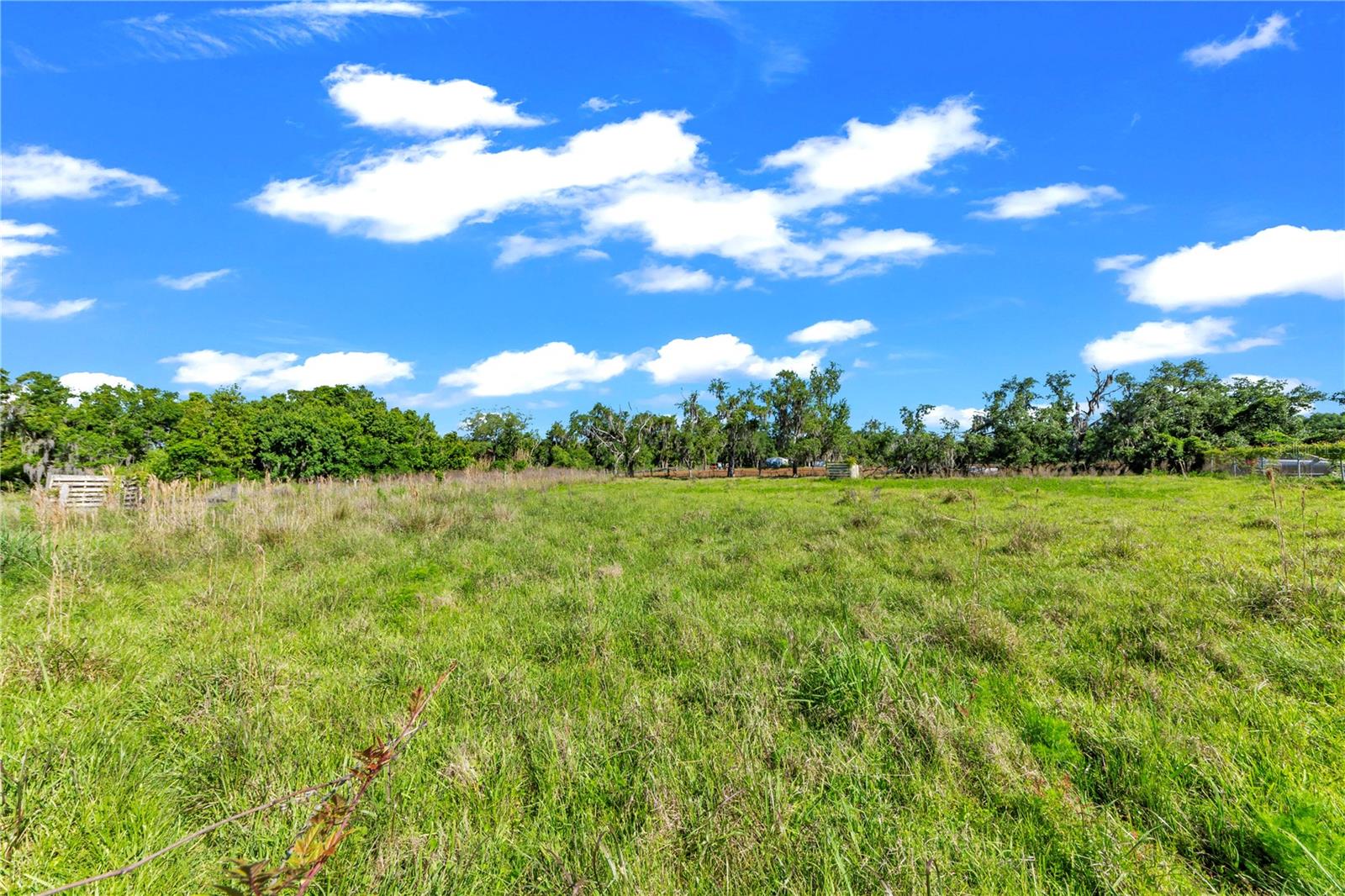 13610 ACKER RD, DOVER, FL, 33527