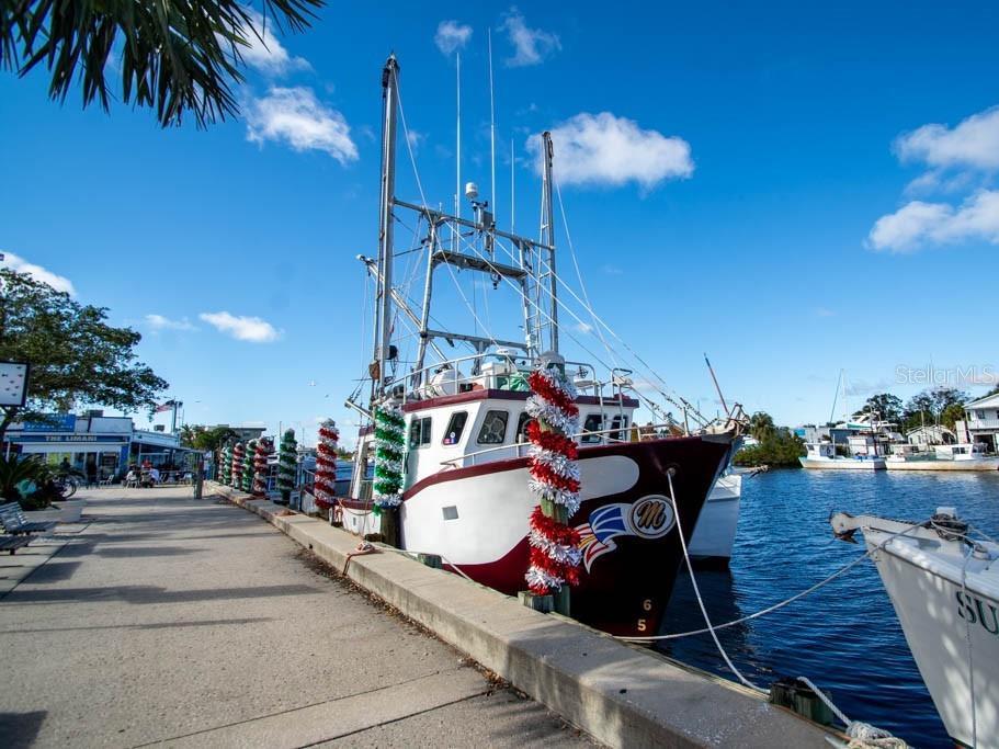 1461 N RIVER CIR, TARPON SPRINGS, FL, 34689