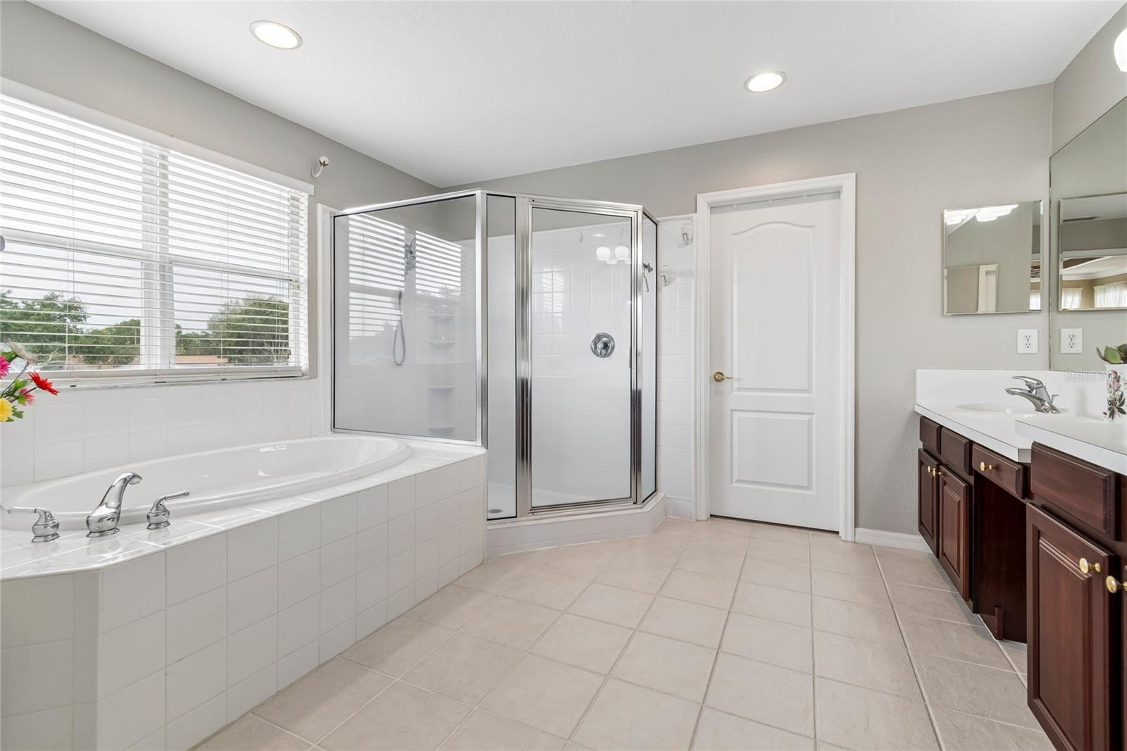 4121 BALINGTON DR, VALRICO, FL, 33596