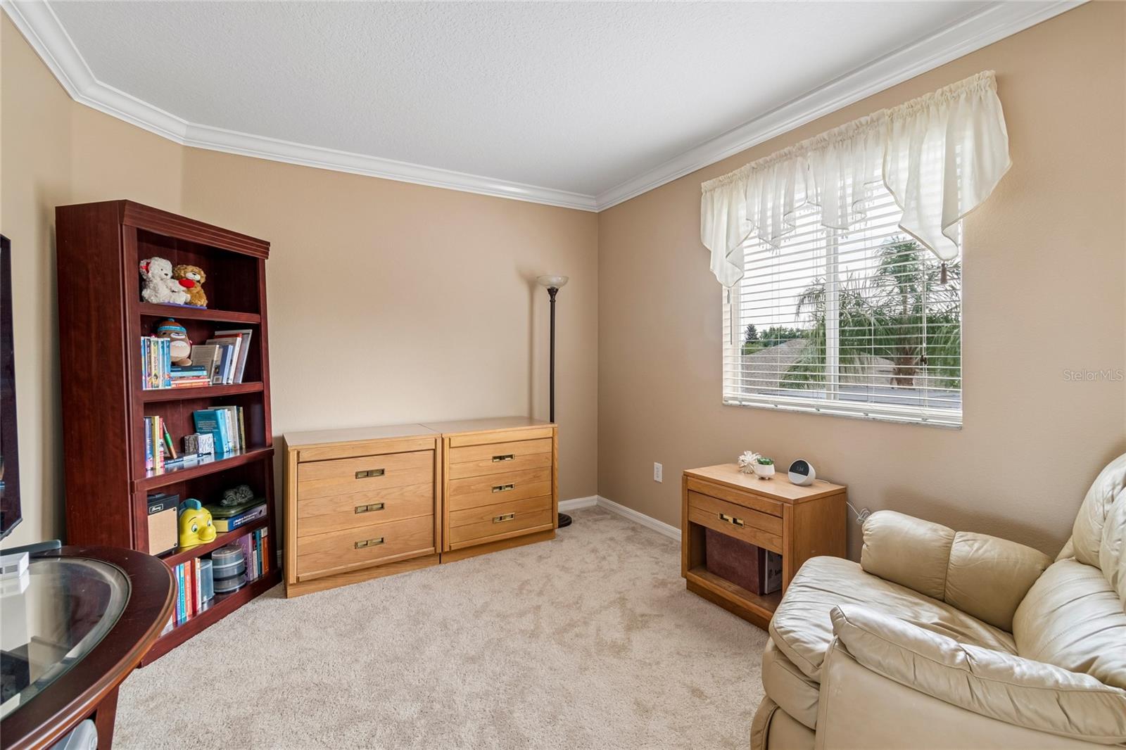 4121 BALINGTON DR, VALRICO, FL, 33596