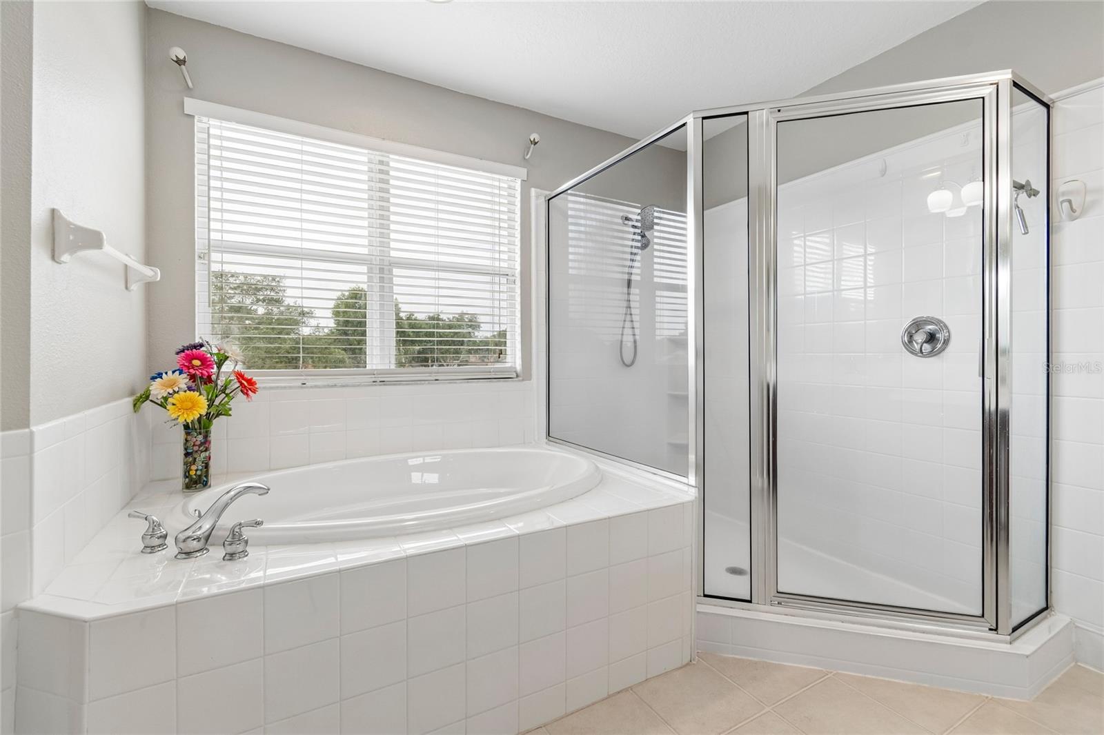 4121 BALINGTON DR, VALRICO, FL, 33596