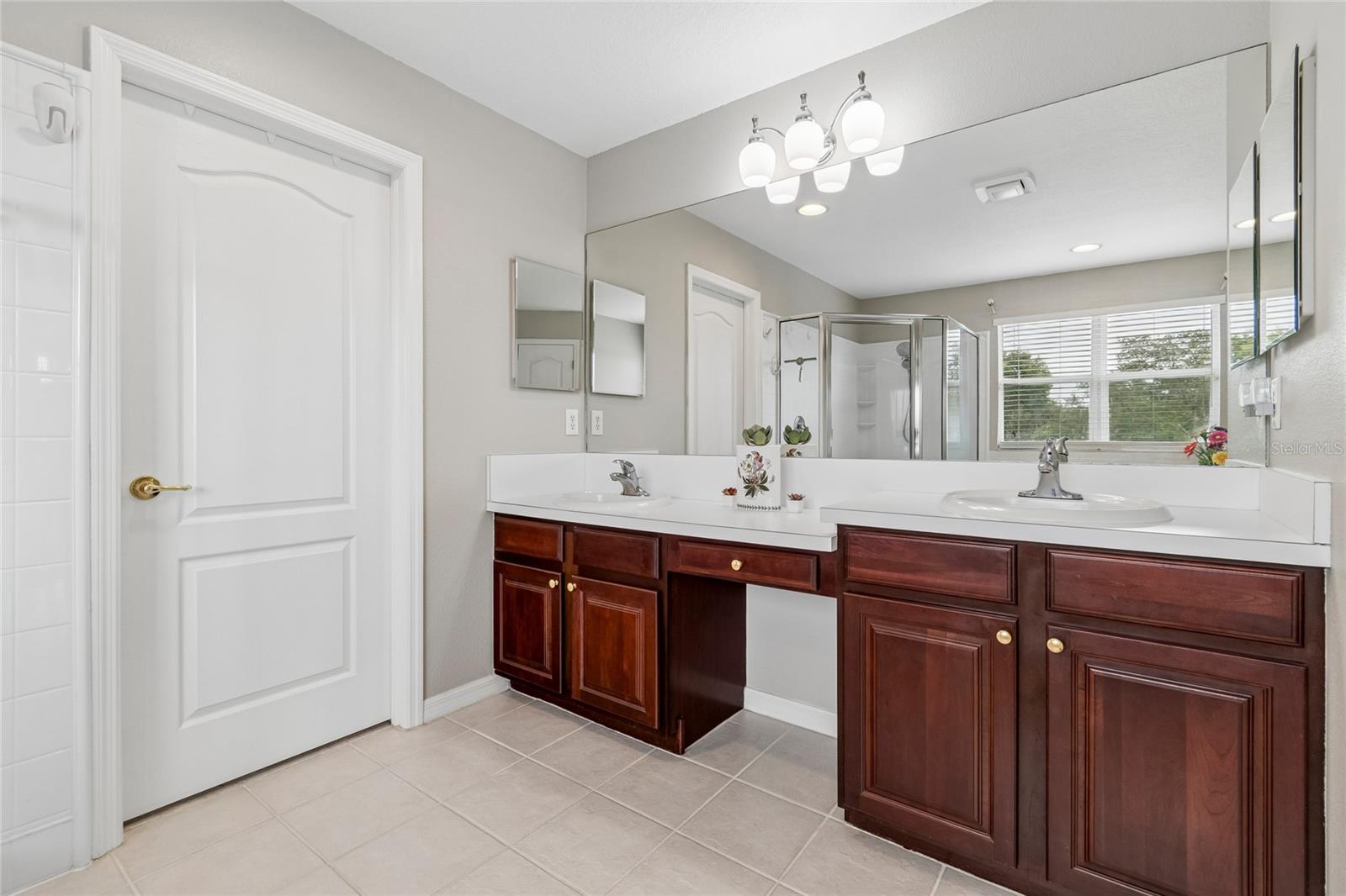 4121 BALINGTON DR, VALRICO, FL, 33596