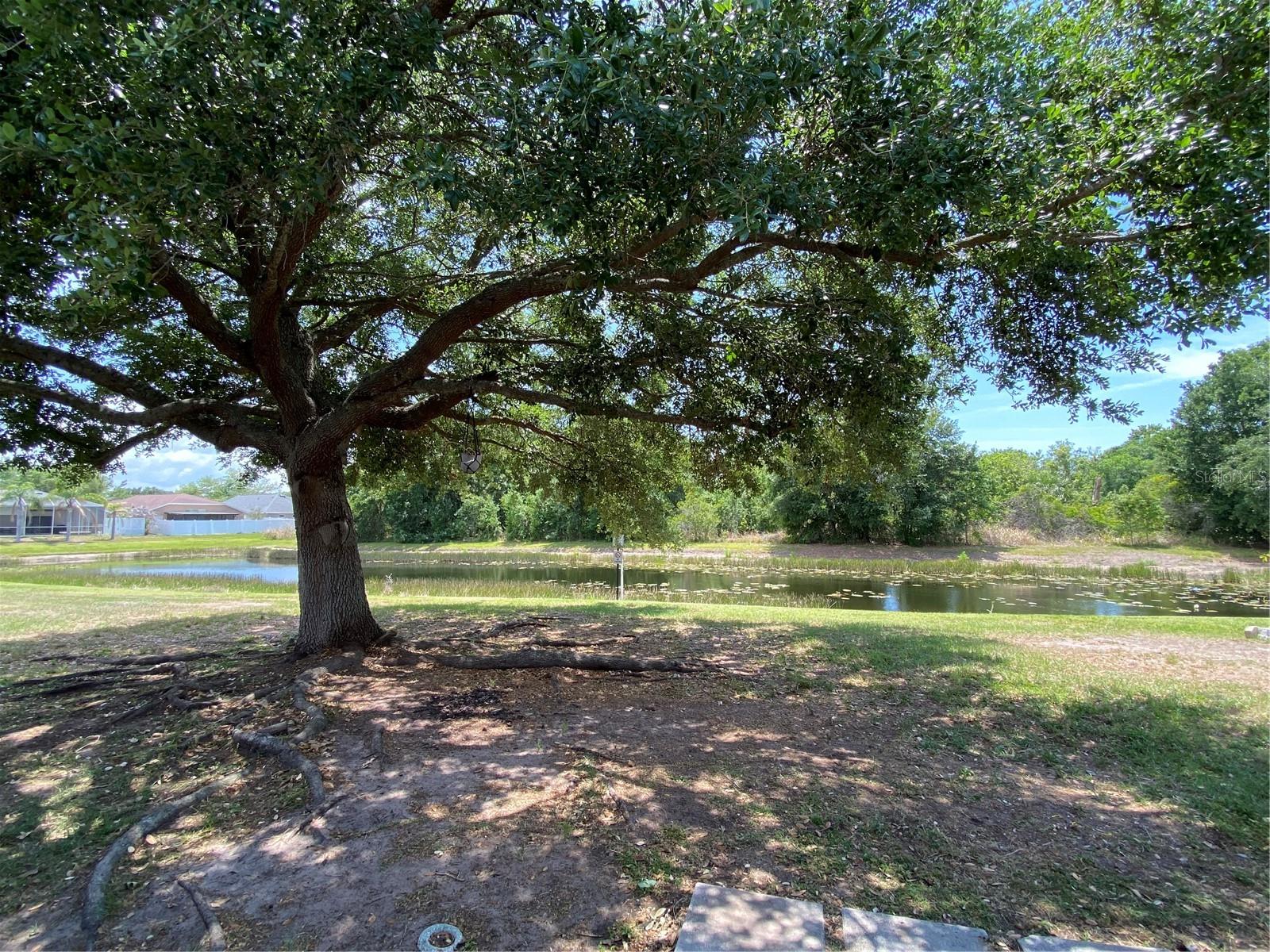 13263 EVENING SUNSET LN, RIVERVIEW, FL, 33579