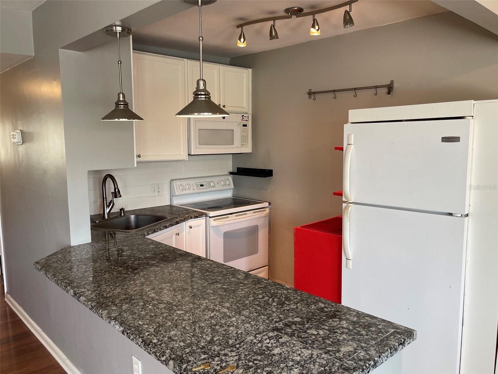 208 NE MONROE CIR N #307, ST PETERSBURG, FL, 33702