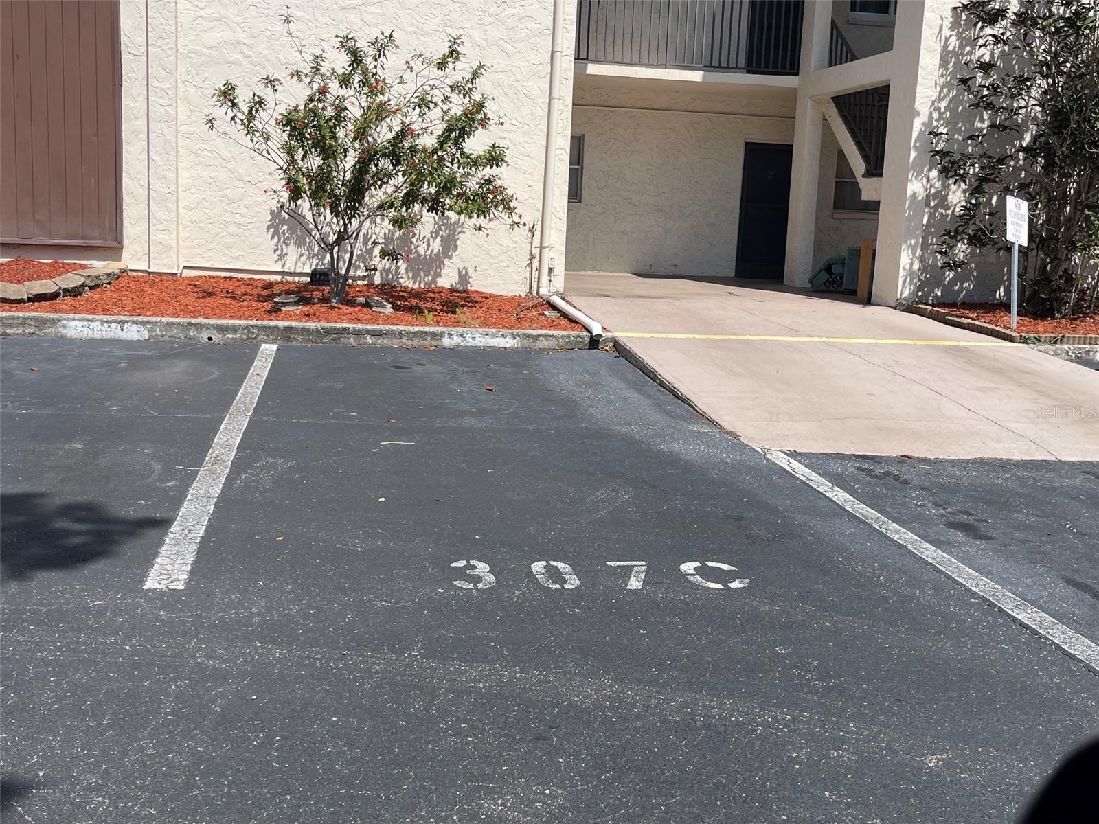 208 NE MONROE CIR N #307, ST PETERSBURG, FL, 33702