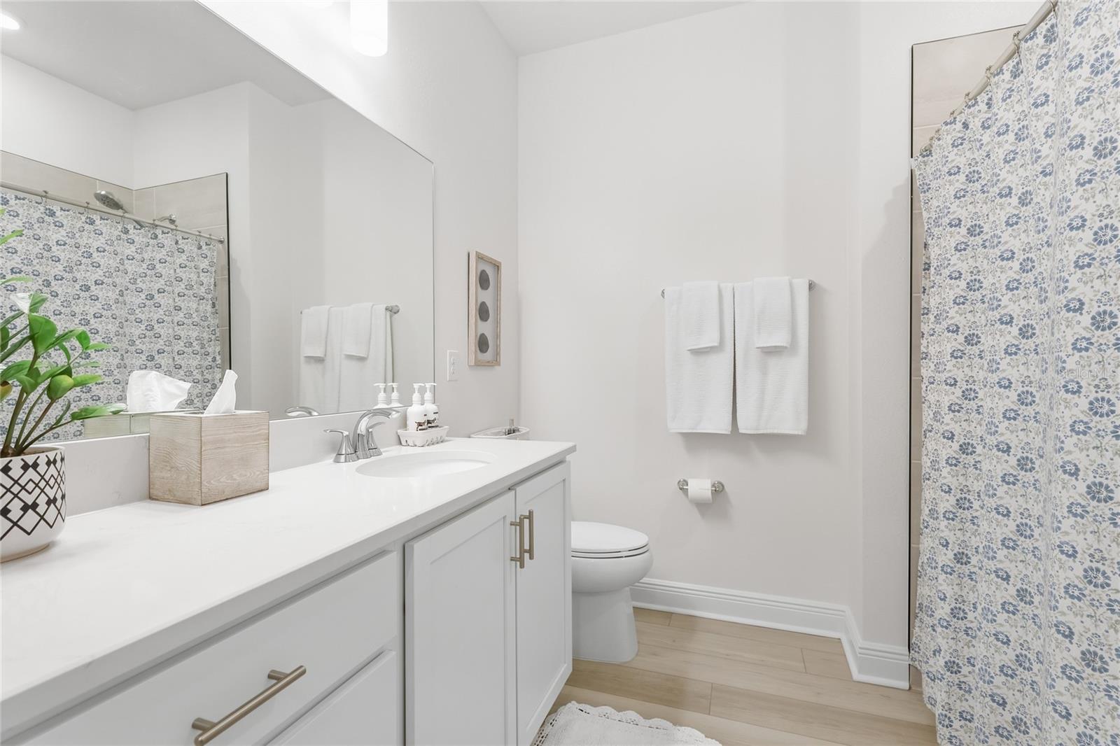 10927 BLUESTEM CV, PARRISH, FL, 34219