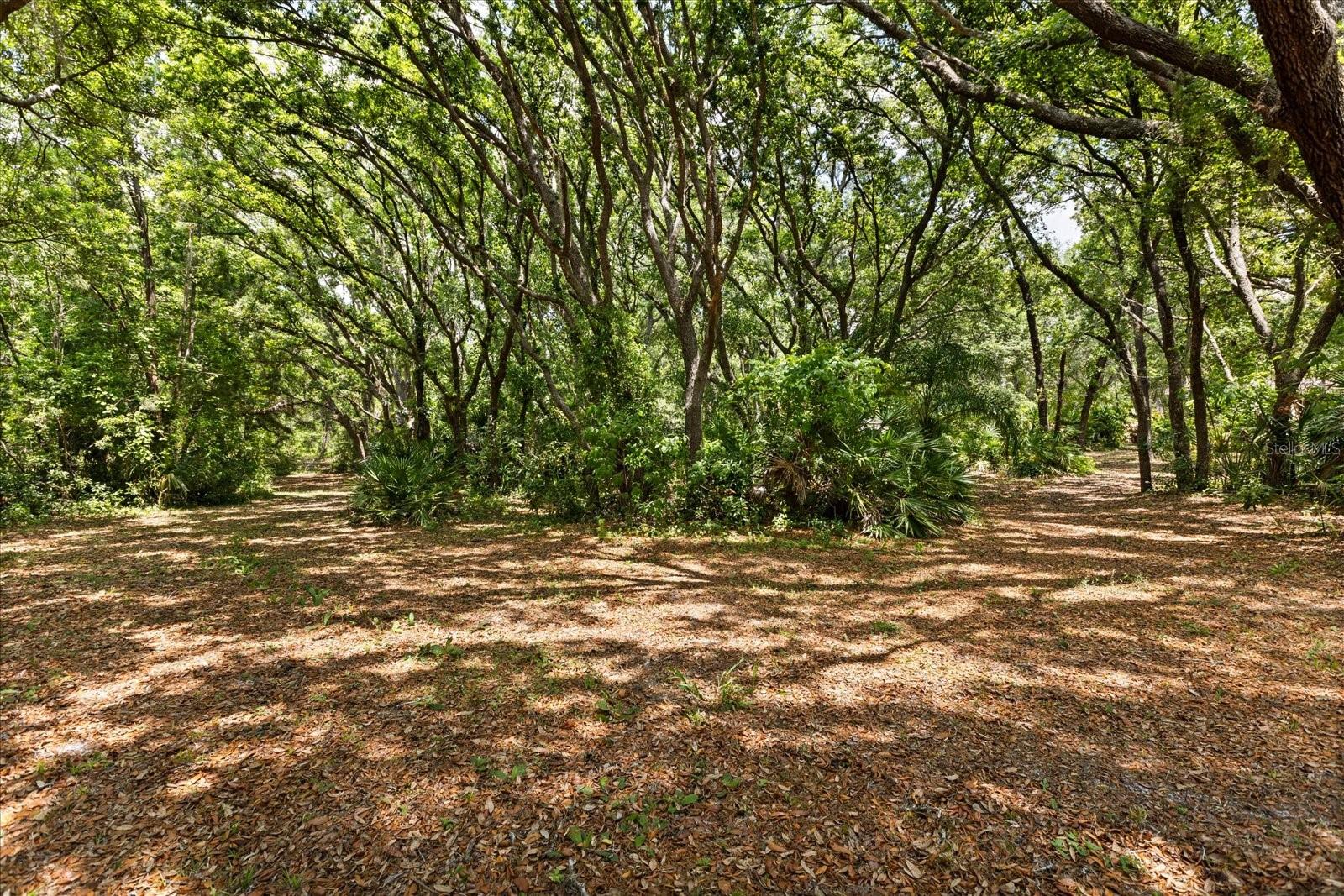 5616 MARKHAM WOODS RD, LAKE MARY, FL, 32746