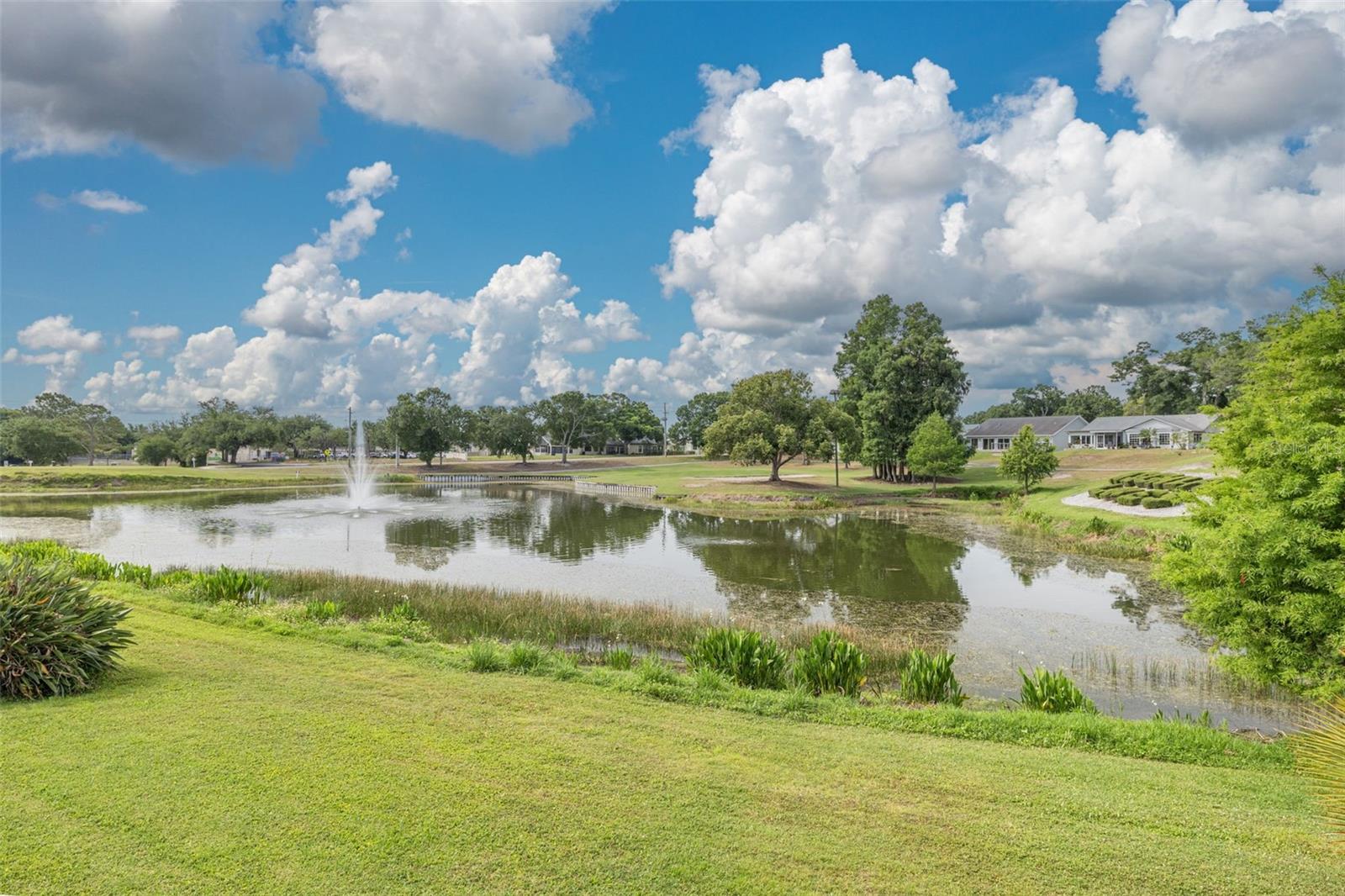 1478 WICKLOW DR, PALM HARBOR, FL, 34684