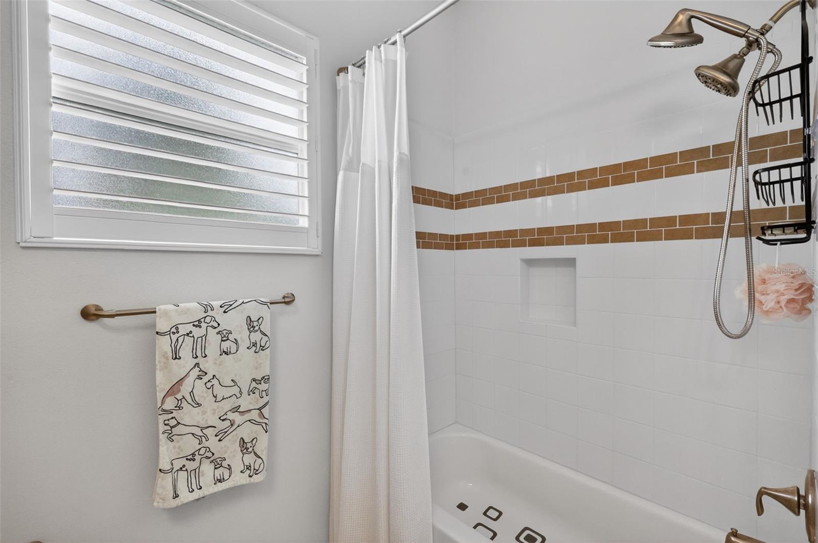 2493 PAWTUCKET PASS, MOUNT DORA, FL, 32757