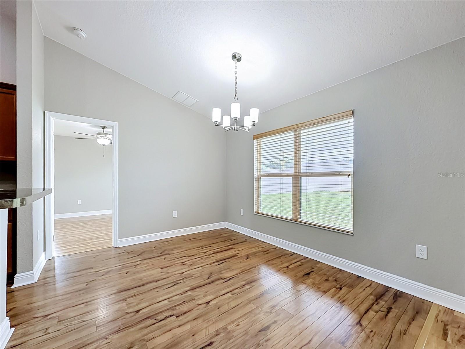 3883 SE 99TH ST, BELLEVIEW, FL, 34420