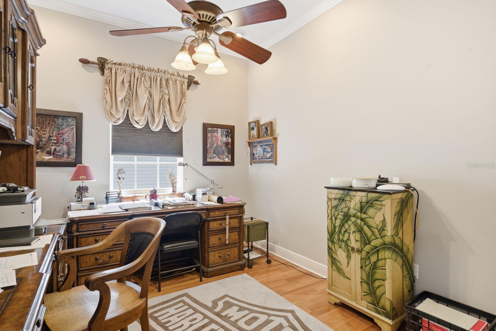 503 PALM AVE, PALM HARBOR, FL, 34683