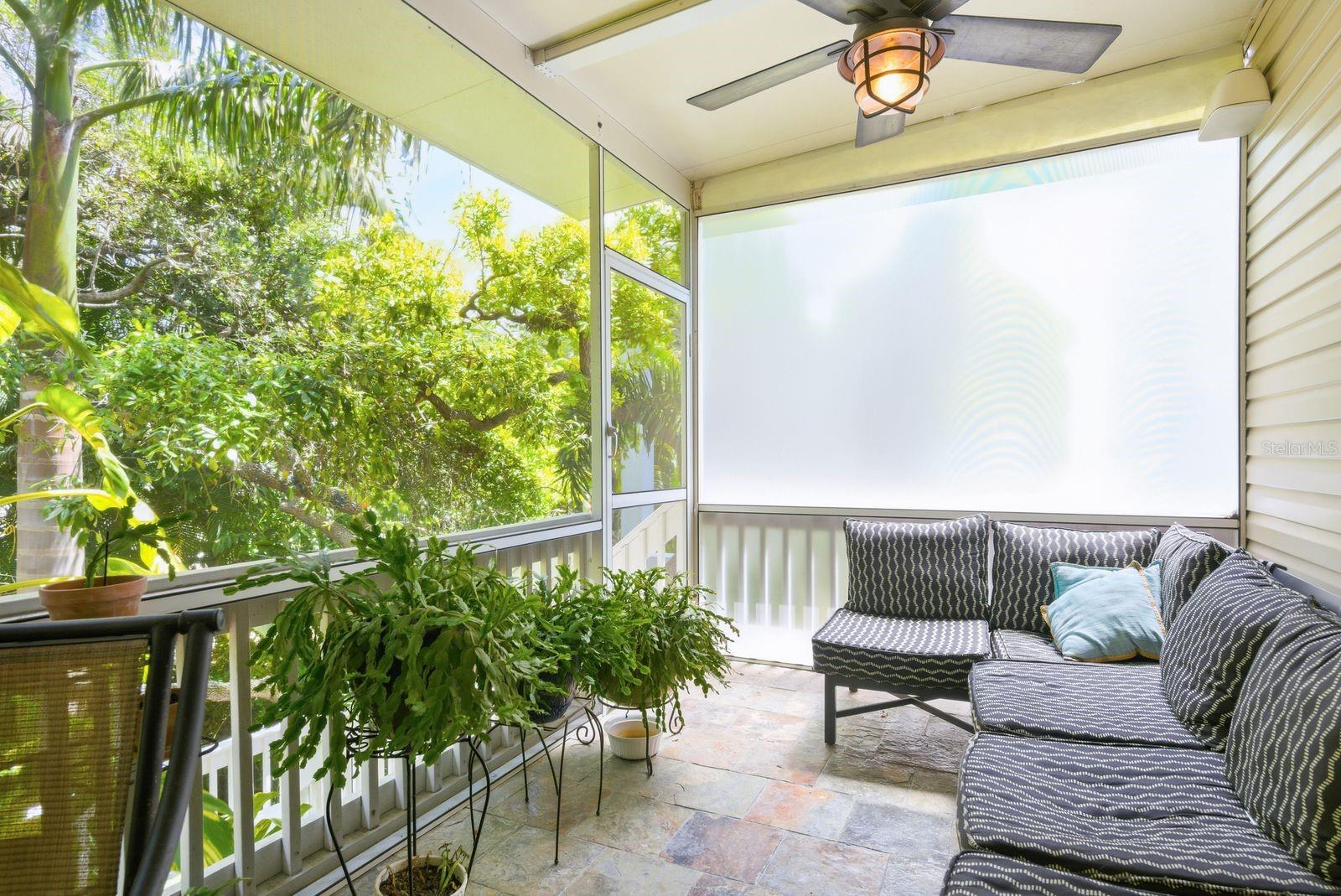 503 PALM AVE, PALM HARBOR, FL, 34683