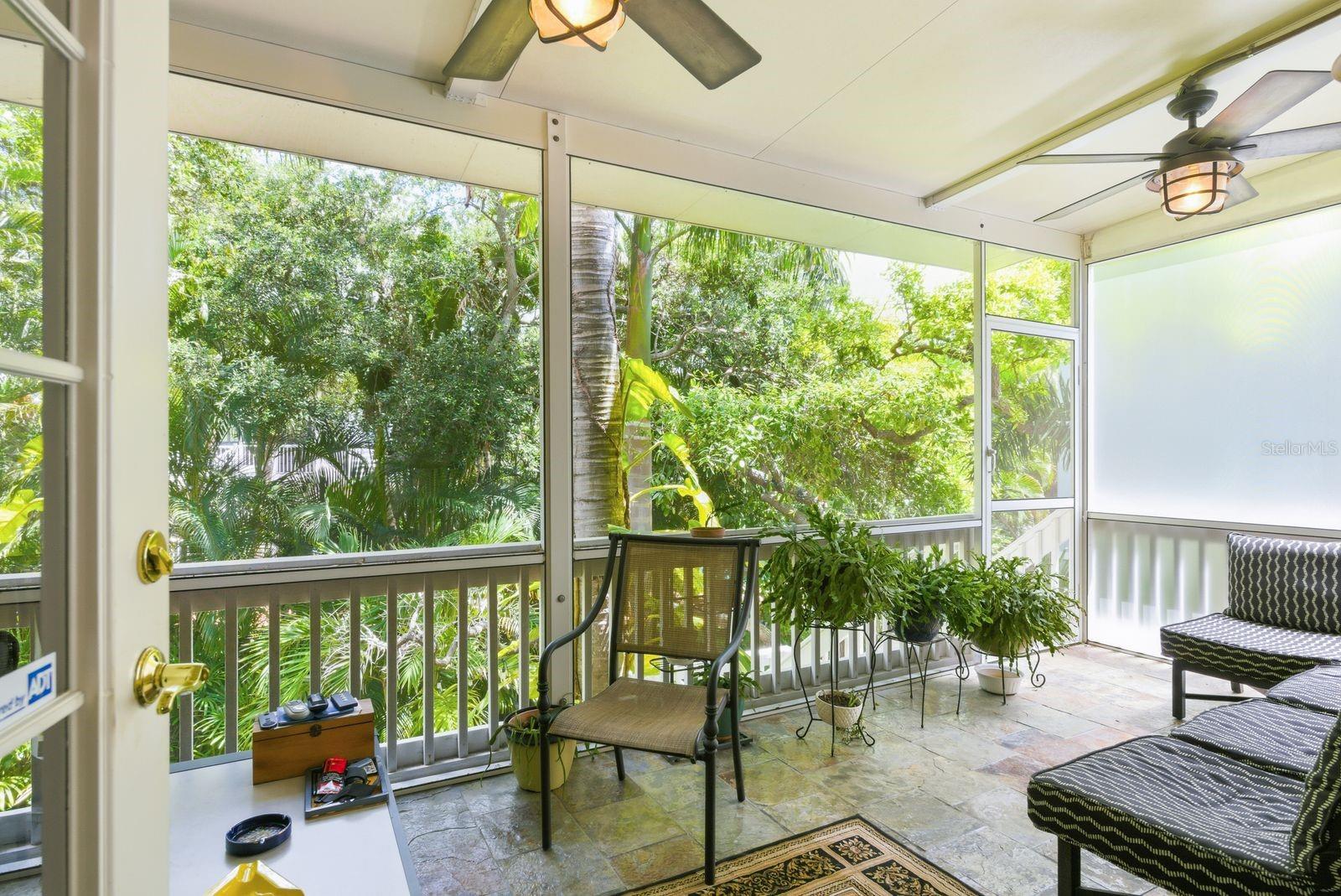 503 PALM AVE, PALM HARBOR, FL, 34683