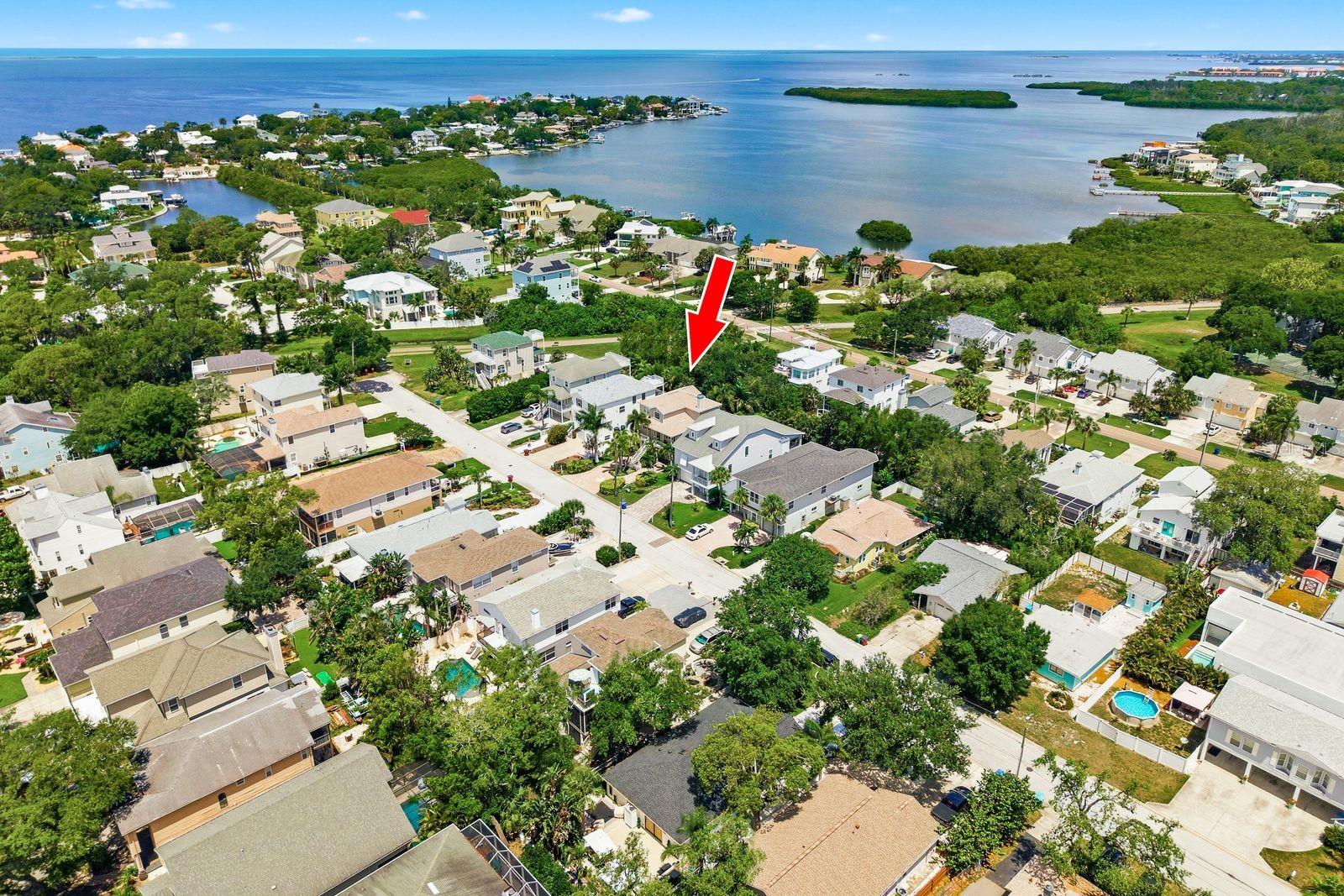 503 PALM AVE, PALM HARBOR, FL, 34683