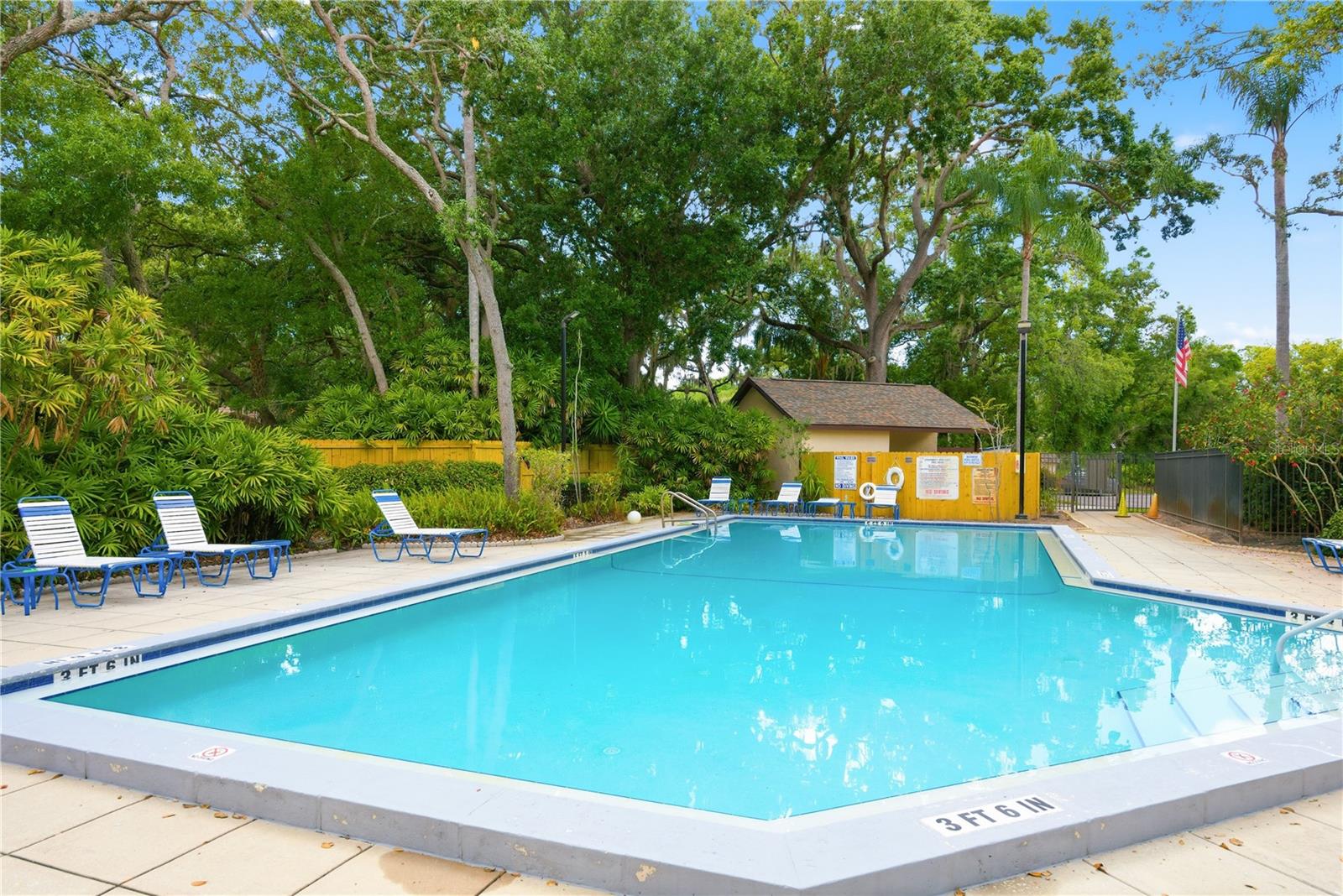 4041 ARROWWOOD CT #4041, PALM HARBOR, FL, 34684
