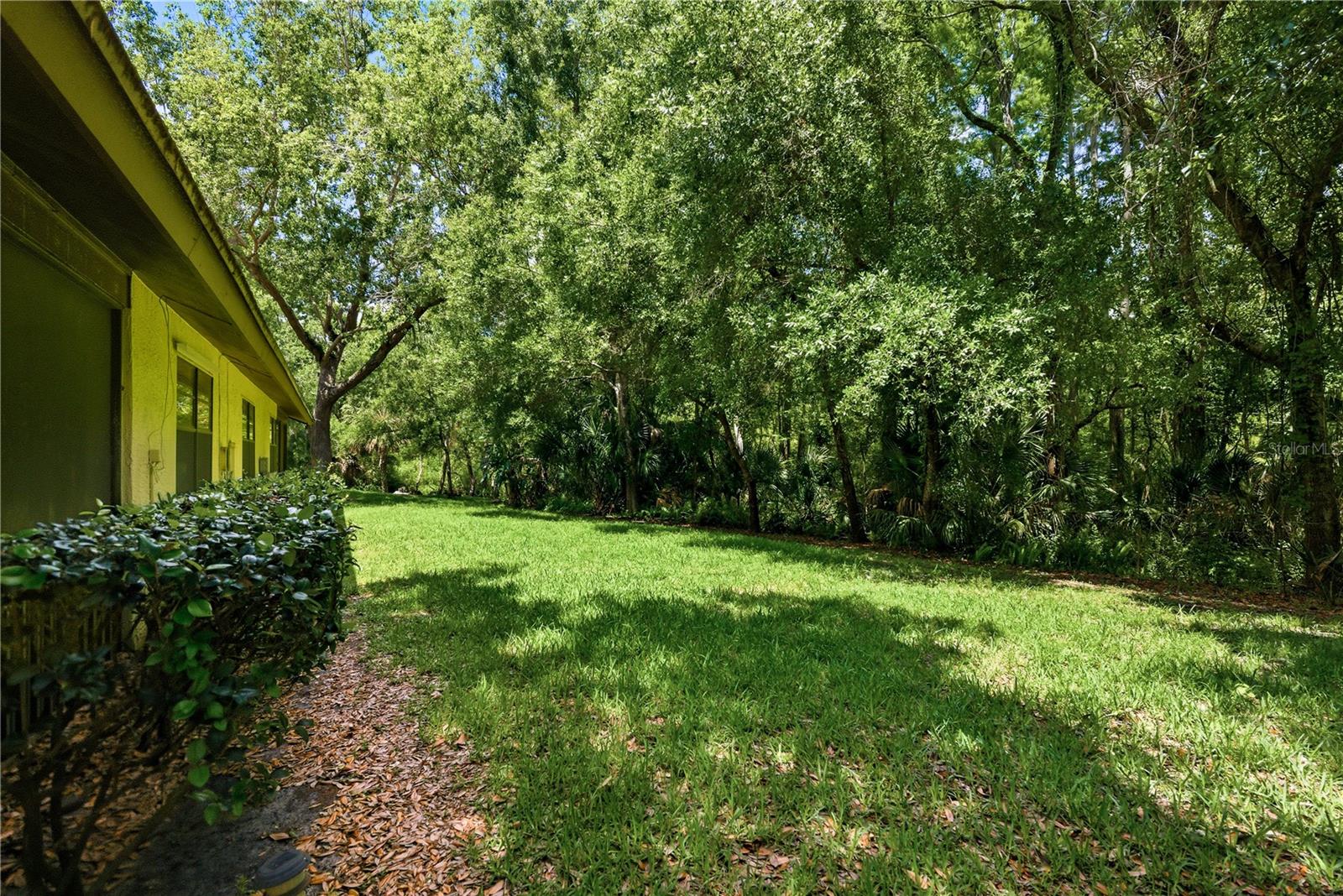 4041 ARROWWOOD CT #4041, PALM HARBOR, FL, 34684