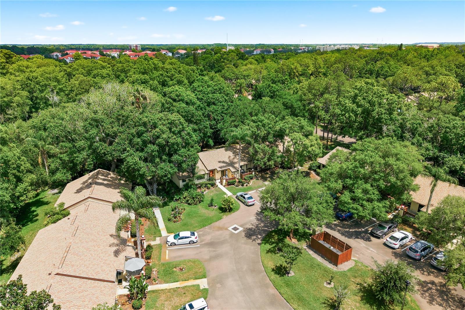 4041 ARROWWOOD CT #4041, PALM HARBOR, FL, 34684