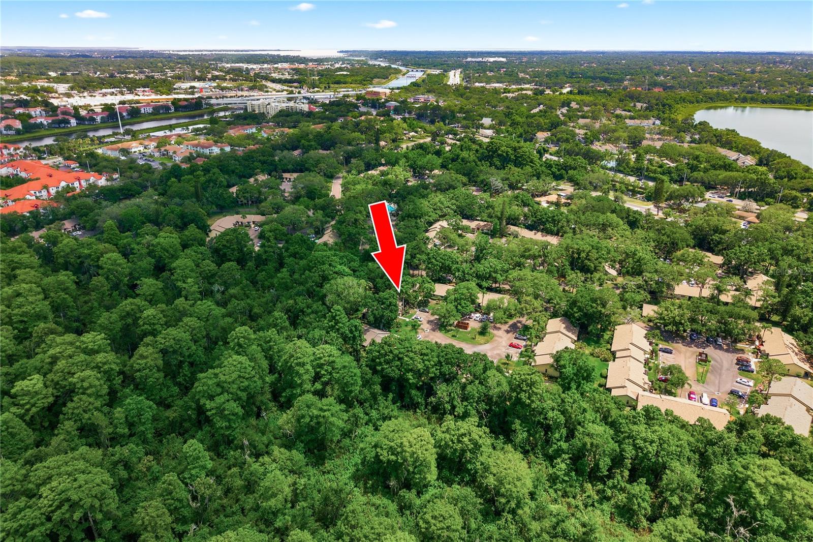 4041 ARROWWOOD CT #4041, PALM HARBOR, FL, 34684