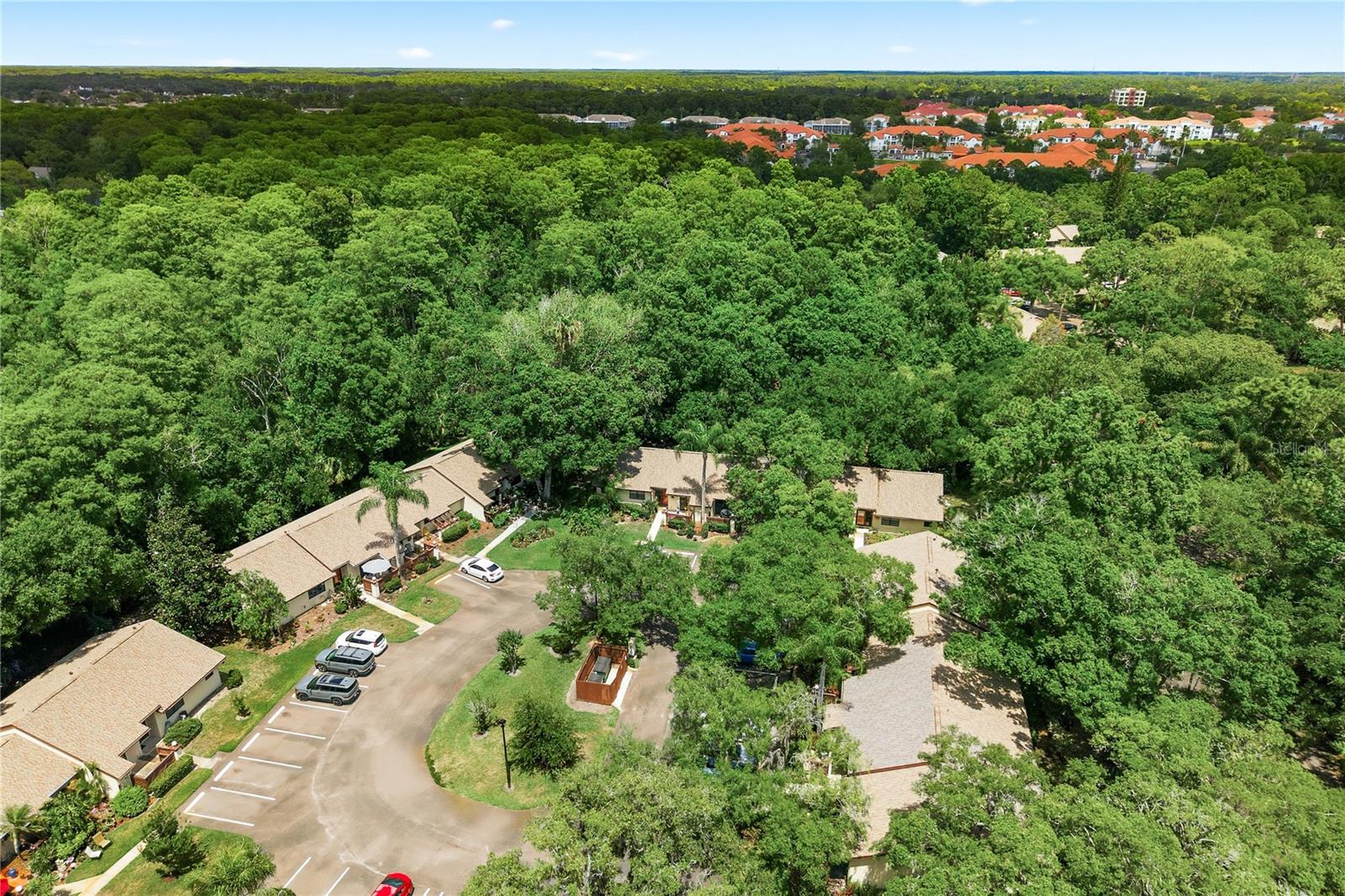 4041 ARROWWOOD CT #4041, PALM HARBOR, FL, 34684