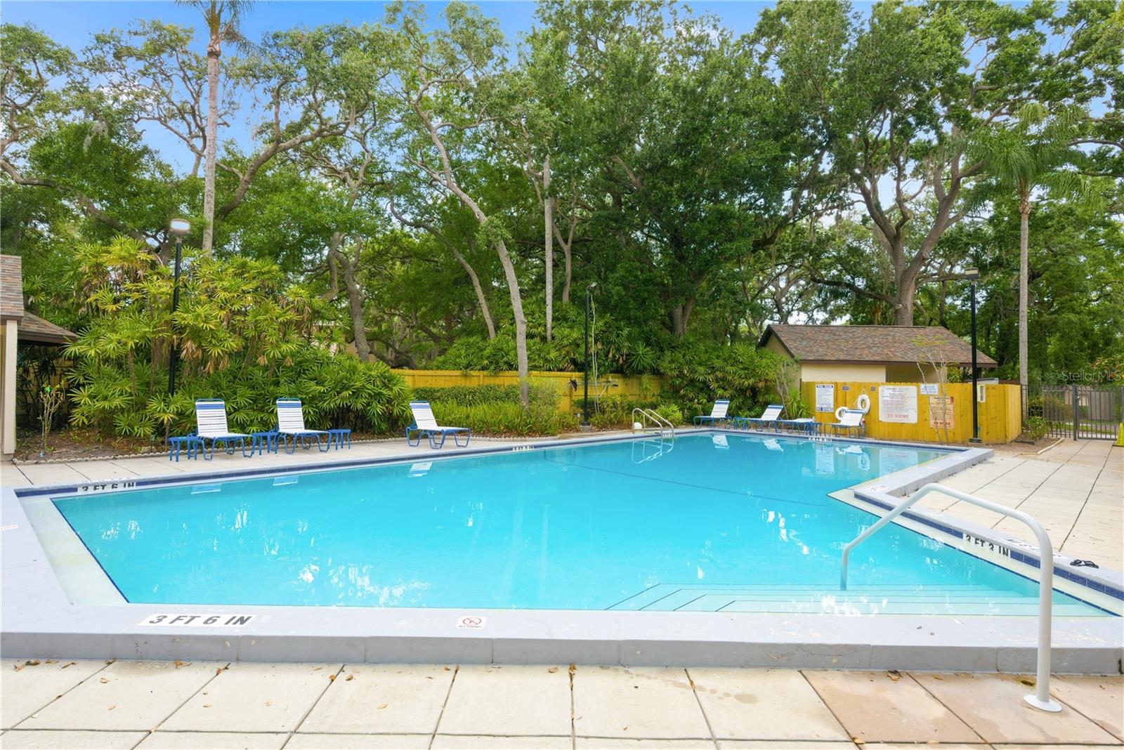 4041 ARROWWOOD CT #4041, PALM HARBOR, FL, 34684