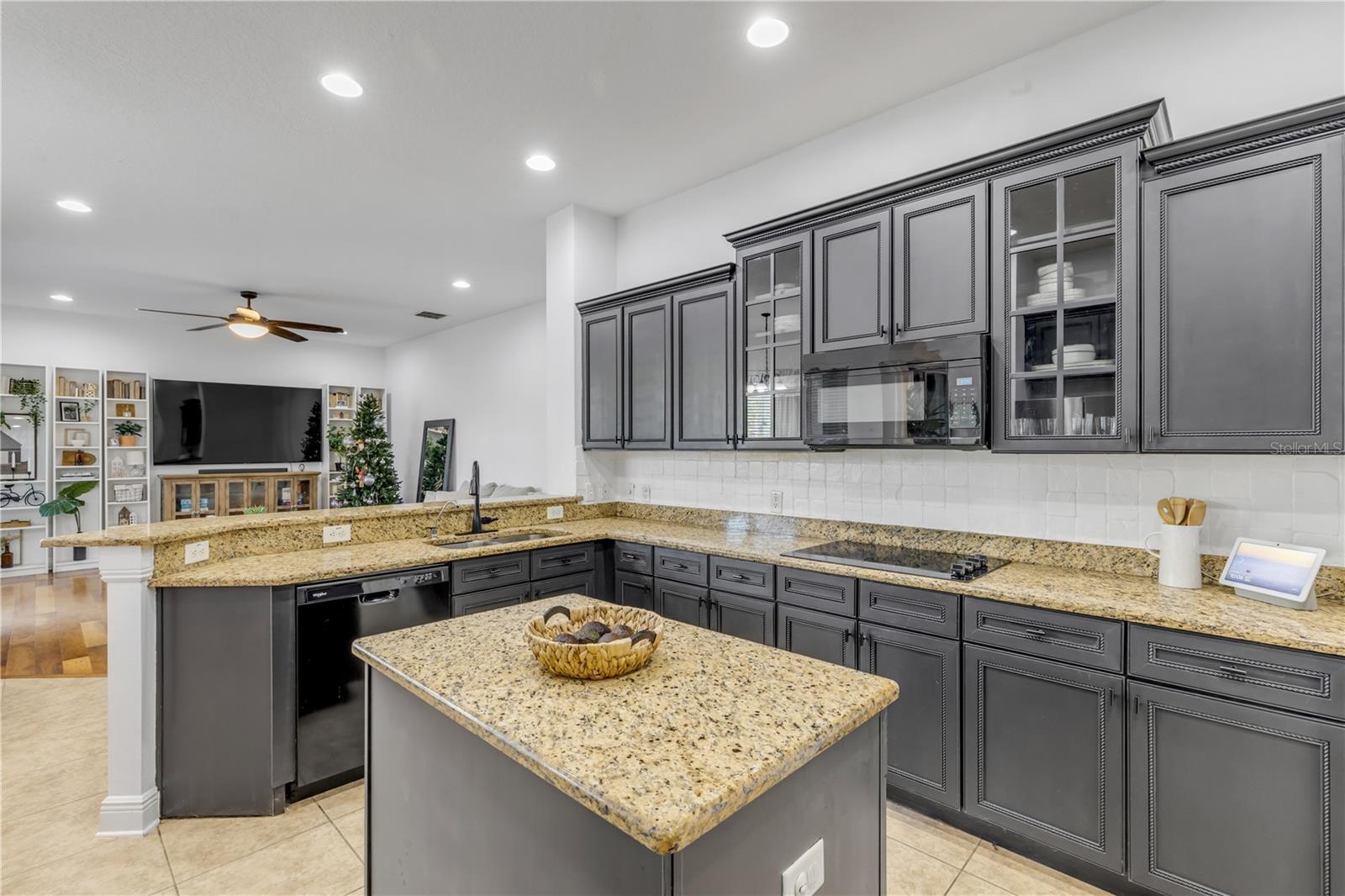 3021 ISOLA BELLA BLVD, MOUNT DORA, FL, 32757
