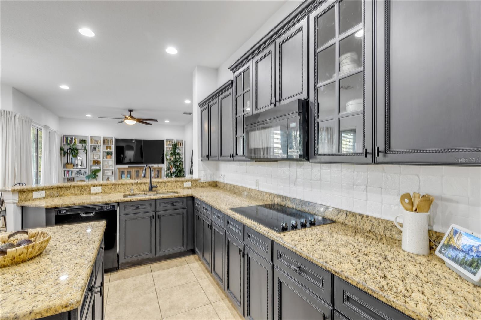 3021 ISOLA BELLA BLVD, MOUNT DORA, FL, 32757