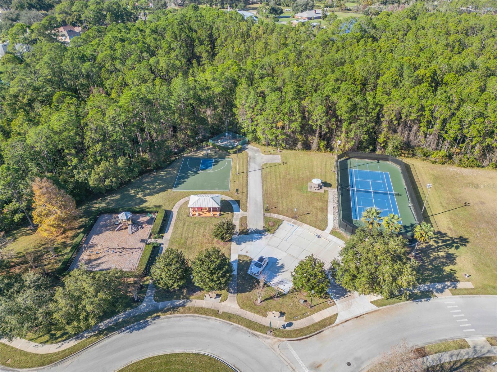 3021 ISOLA BELLA BLVD, MOUNT DORA, FL, 32757