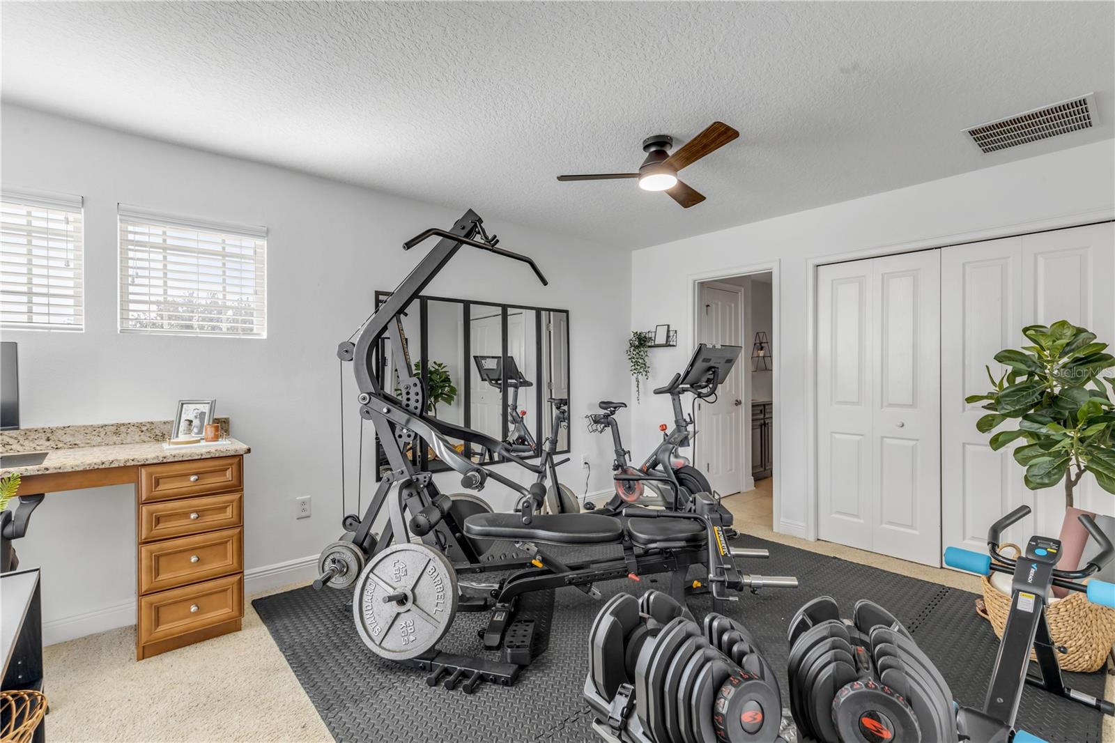 3021 ISOLA BELLA BLVD, MOUNT DORA, FL, 32757