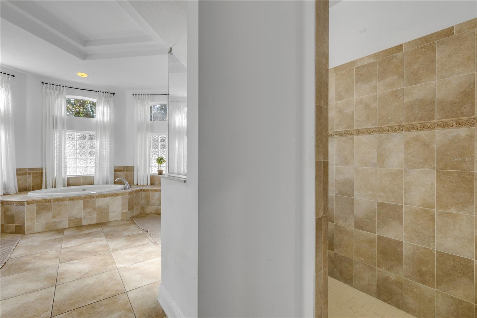 3021 ISOLA BELLA BLVD, MOUNT DORA, FL, 32757