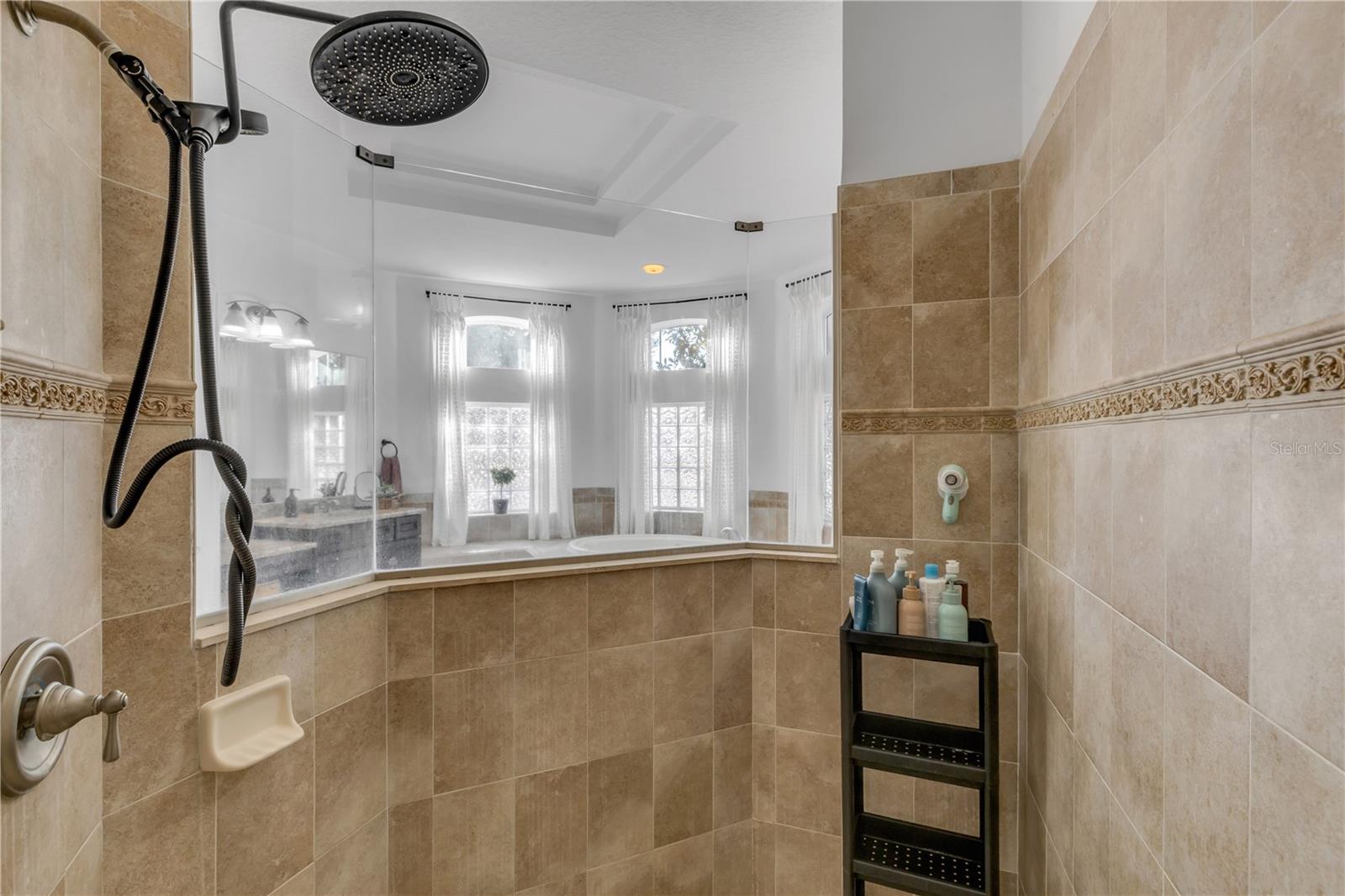 3021 ISOLA BELLA BLVD, MOUNT DORA, FL, 32757
