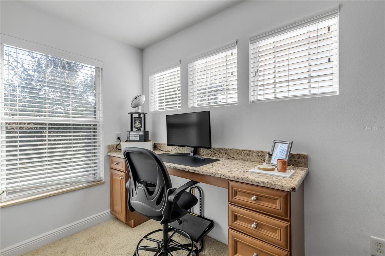 3021 ISOLA BELLA BLVD, MOUNT DORA, FL, 32757