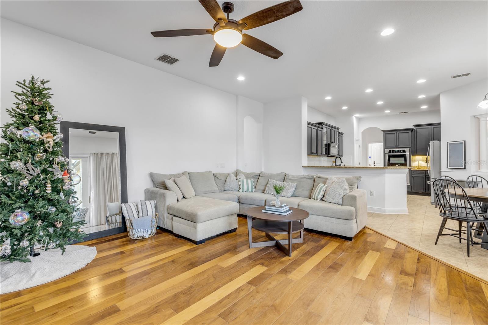 3021 ISOLA BELLA BLVD, MOUNT DORA, FL, 32757