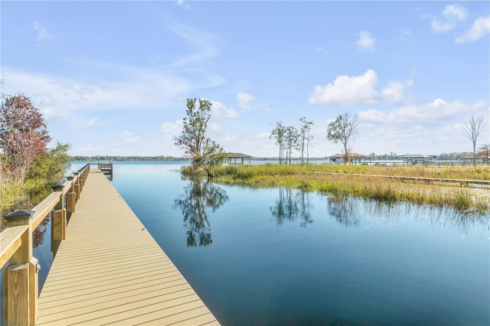 3021 ISOLA BELLA BLVD, MOUNT DORA, FL, 32757
