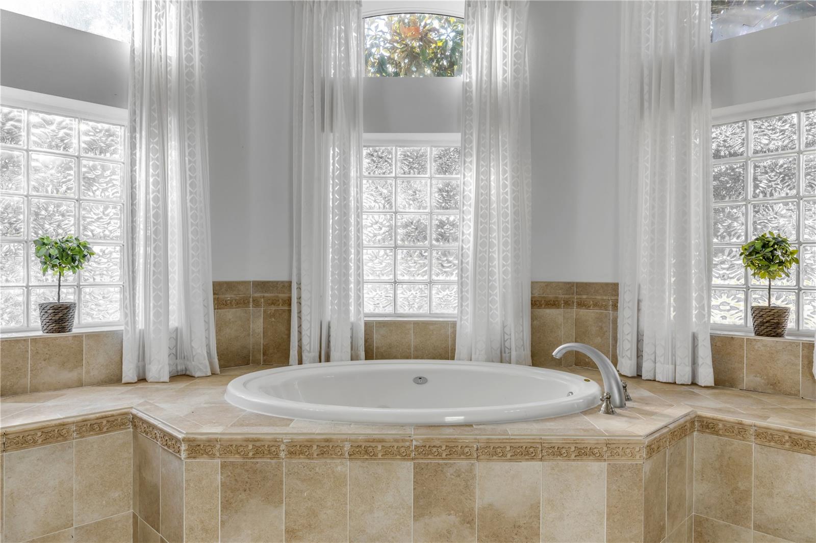 3021 ISOLA BELLA BLVD, MOUNT DORA, FL, 32757