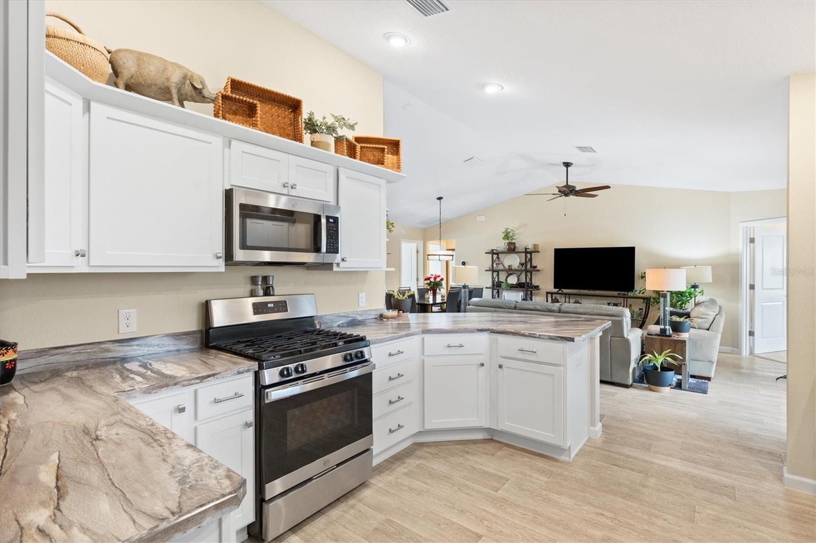 5719 BARRAW TER, THE VILLAGES, FL, 32163