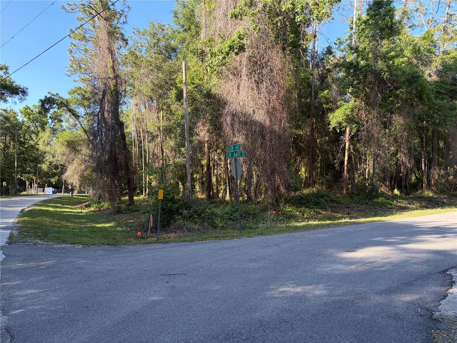 9192 CR 647CS, BUSHNELL, FL, 33513